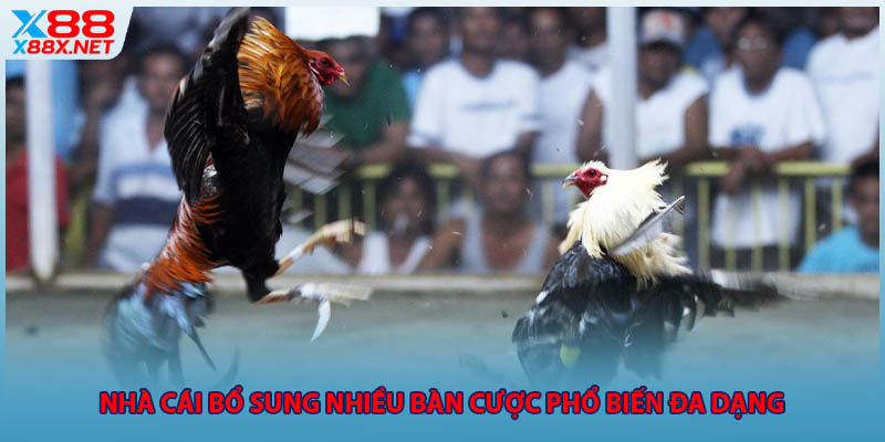 Nhà cái bổ sung nhiều bàn cược phổ biến đa dạng 