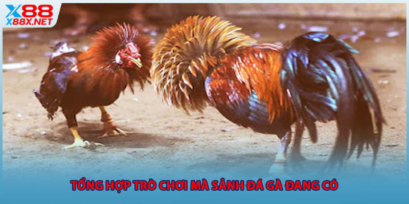 Tổng hợp trò chơi mà sảnh đá gà đang có